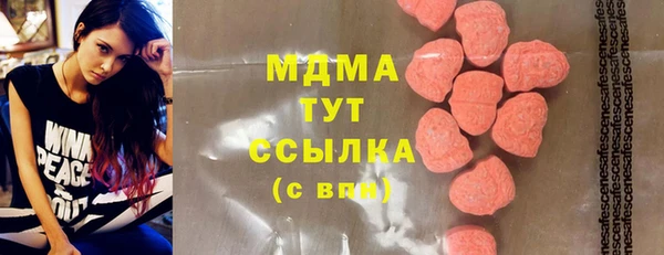 дживик Инта