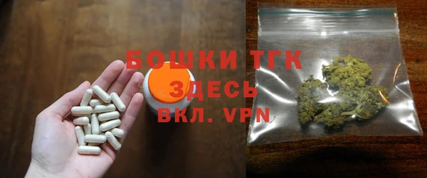 дживик Инта