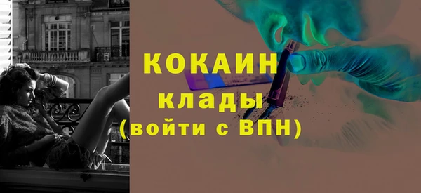 дживик Инта