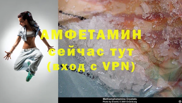дживик Инта