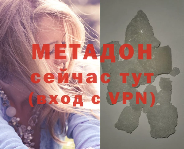 дживик Инта