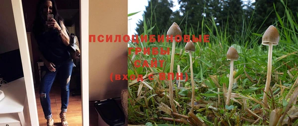 хмурый Зеленокумск