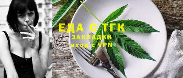 дживик Инта