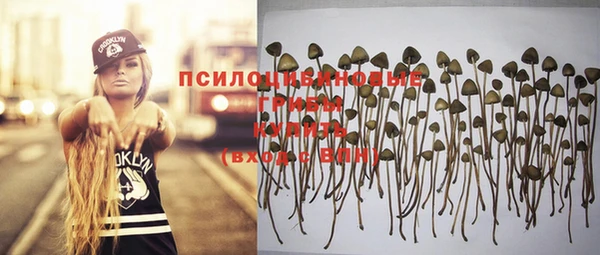 эйфоретик Зеленодольск