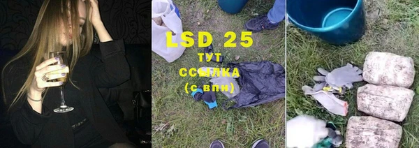 хмурый Зеленокумск