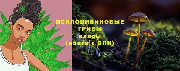 дживик Инта